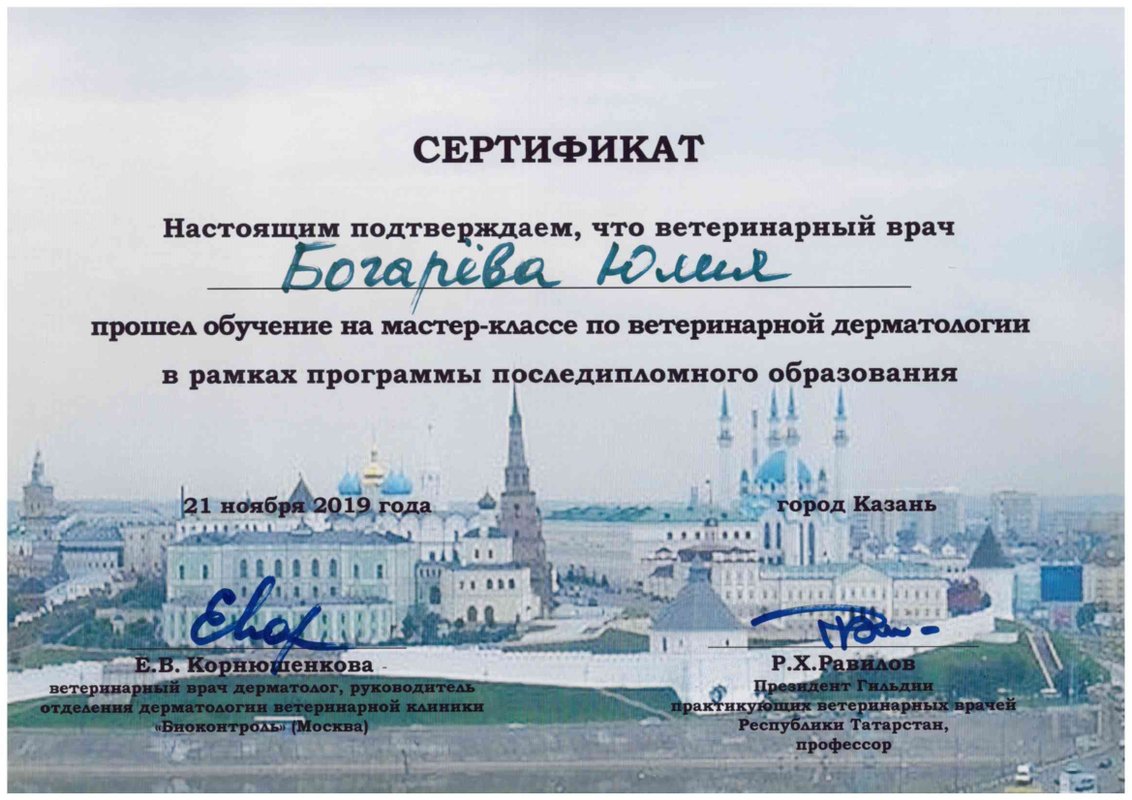 Документ или сертификат