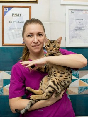 Фото врача Садреева Наталья Равильевна
