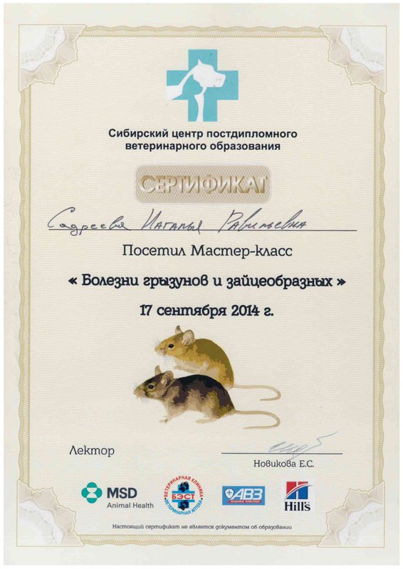 Документ или сертификат