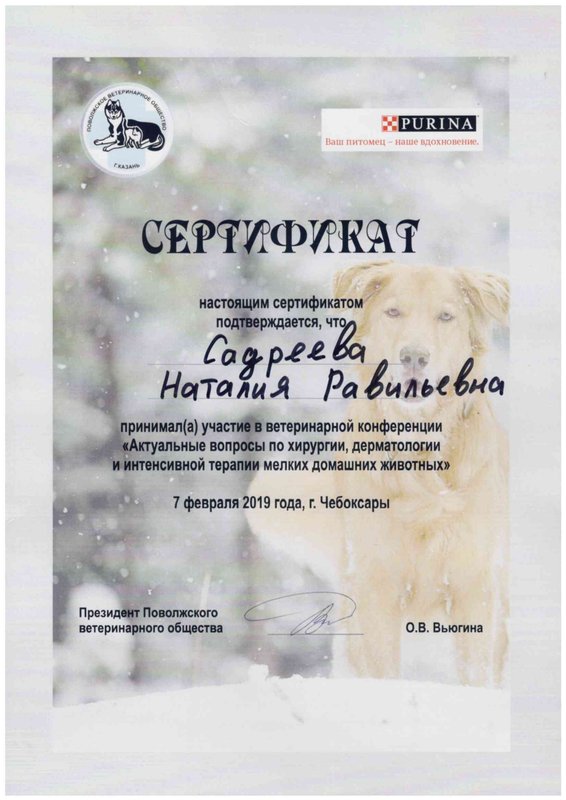 Документ или сертификат