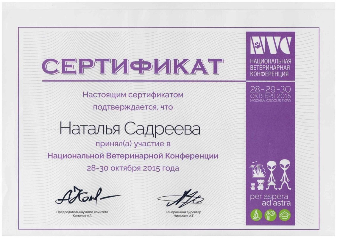 Документ или сертификат