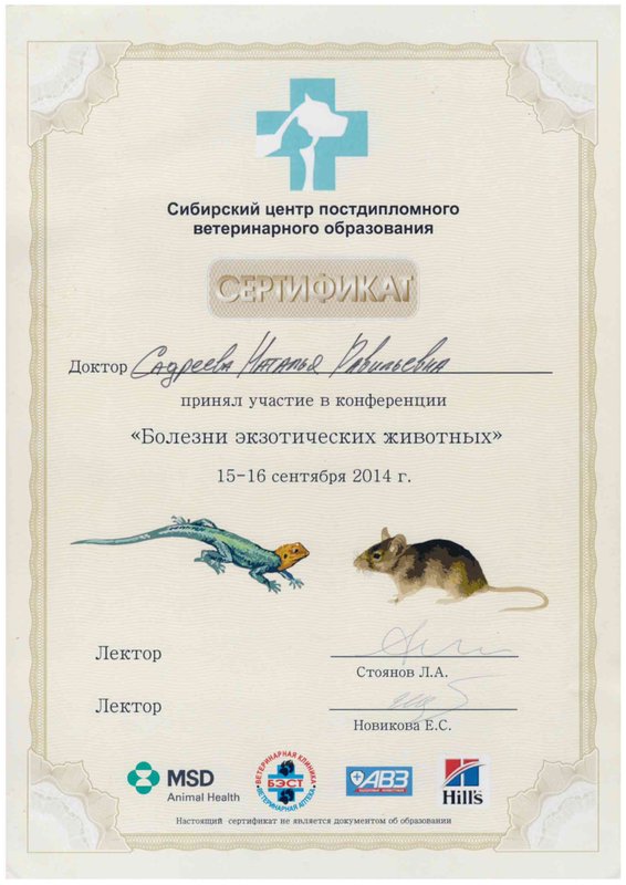 Документ или сертификат