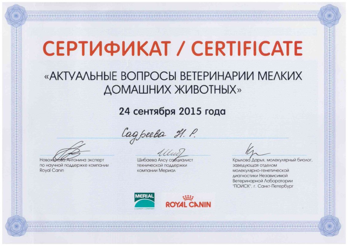 Документ или сертификат