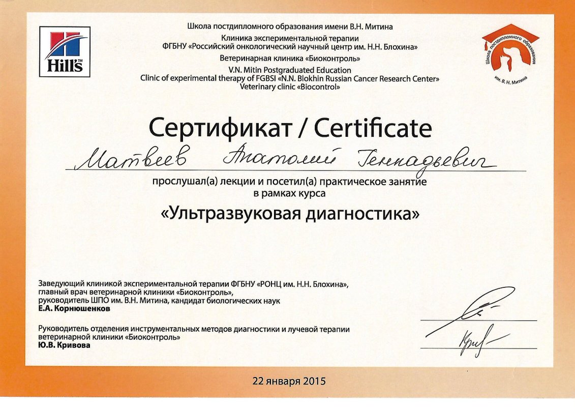 Документ или сертификат