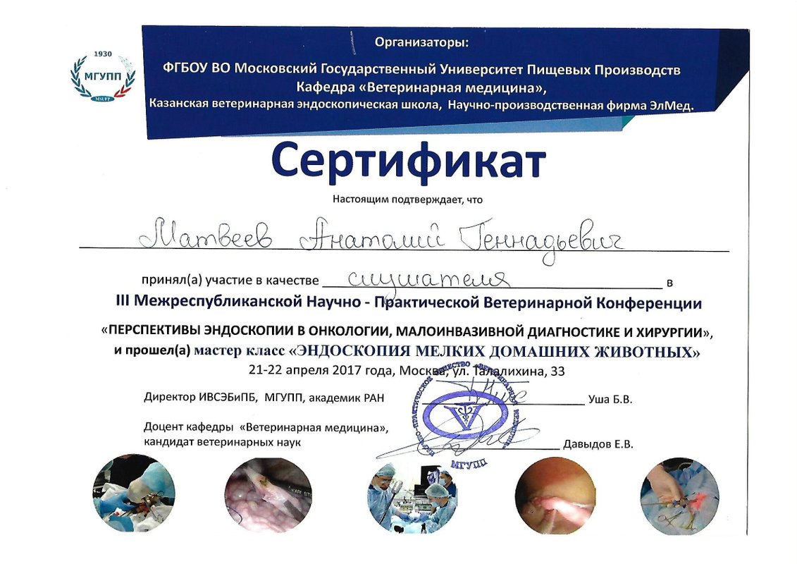 Документ или сертификат