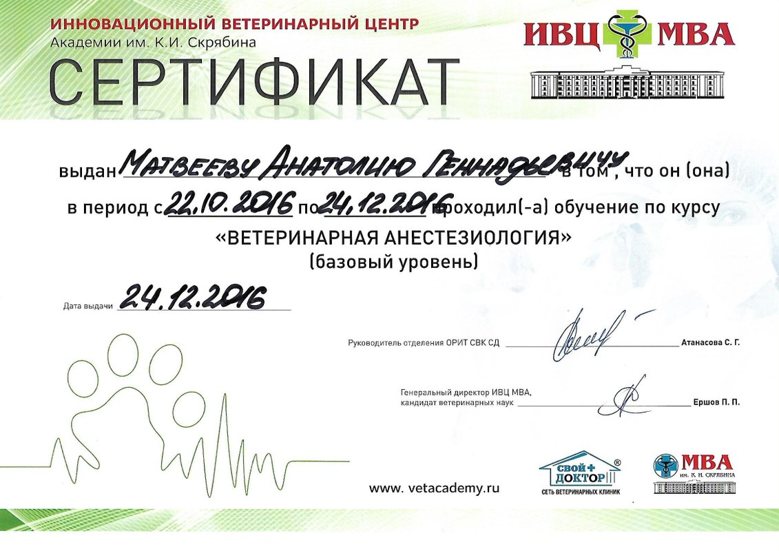 Документ или сертификат