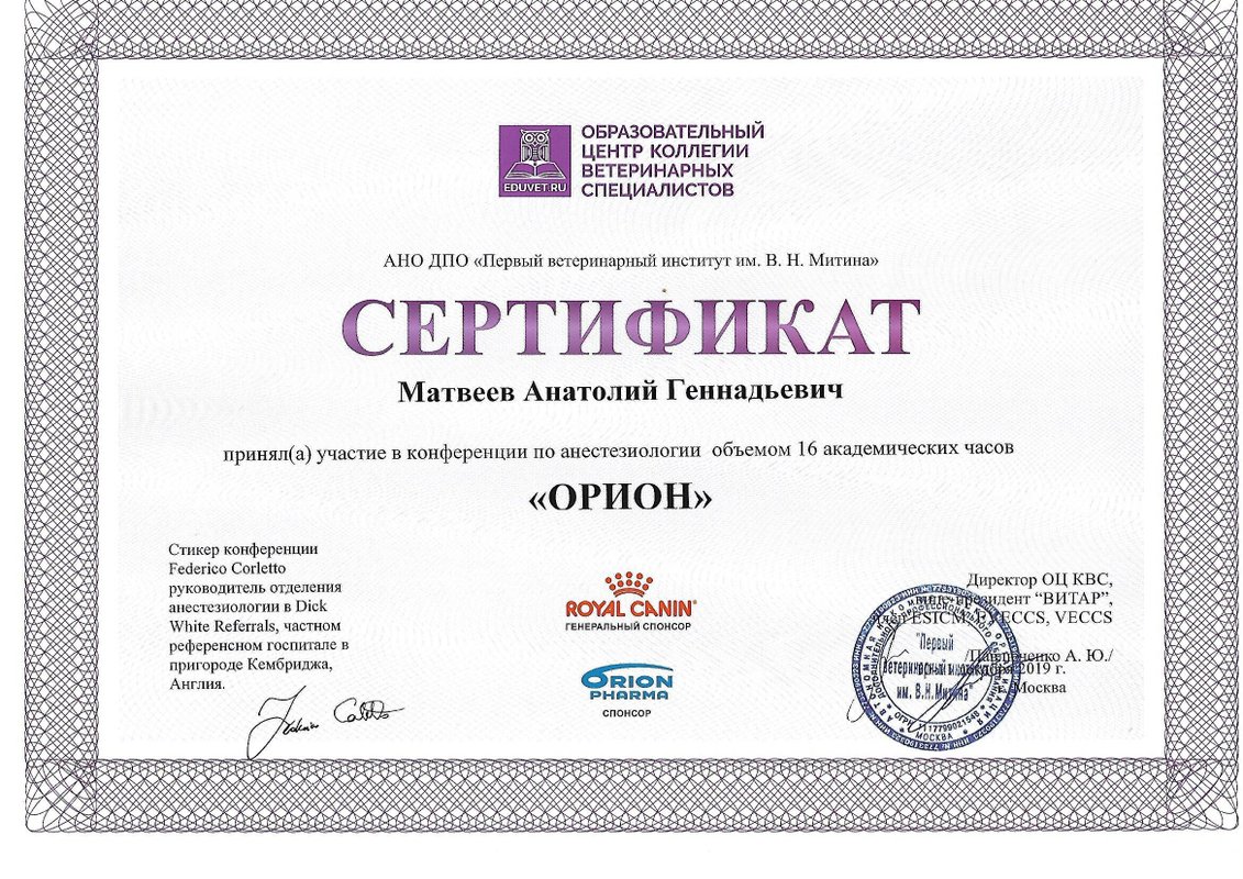 Документ или сертификат