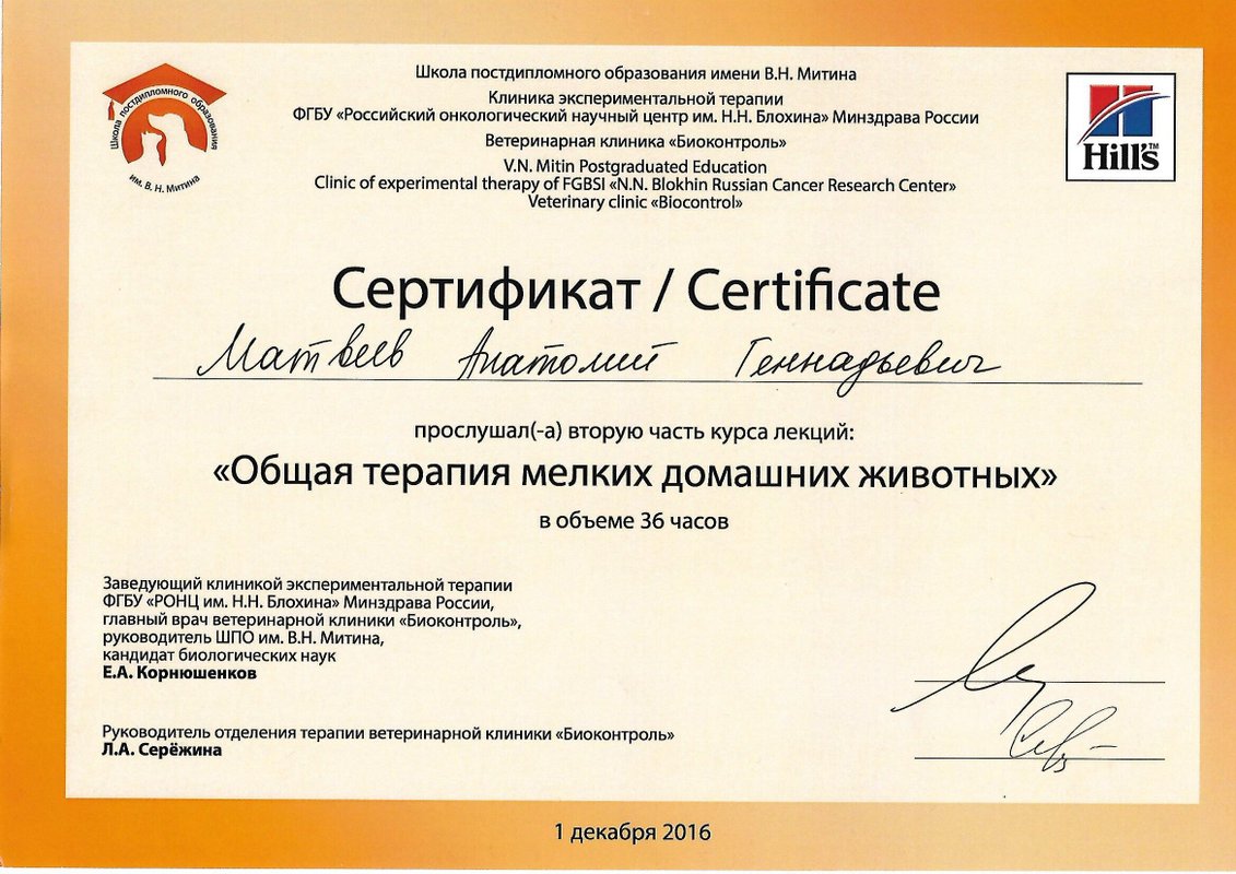Документ или сертификат