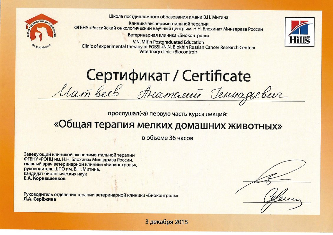 Документ или сертификат