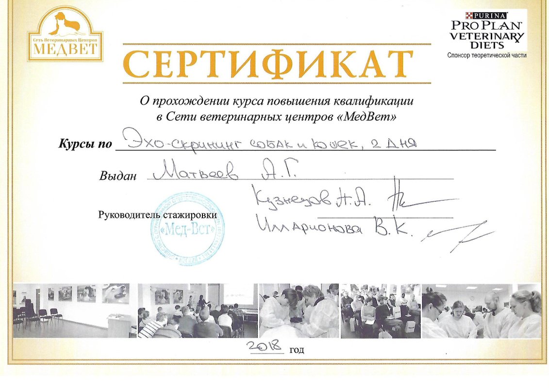 Документ или сертификат