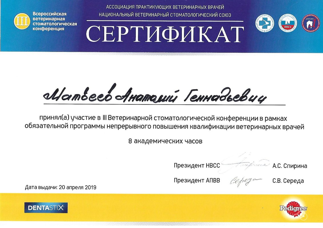 Документ или сертификат
