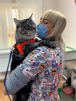 Фото врача Мелентьева Кристина Сергеевна
