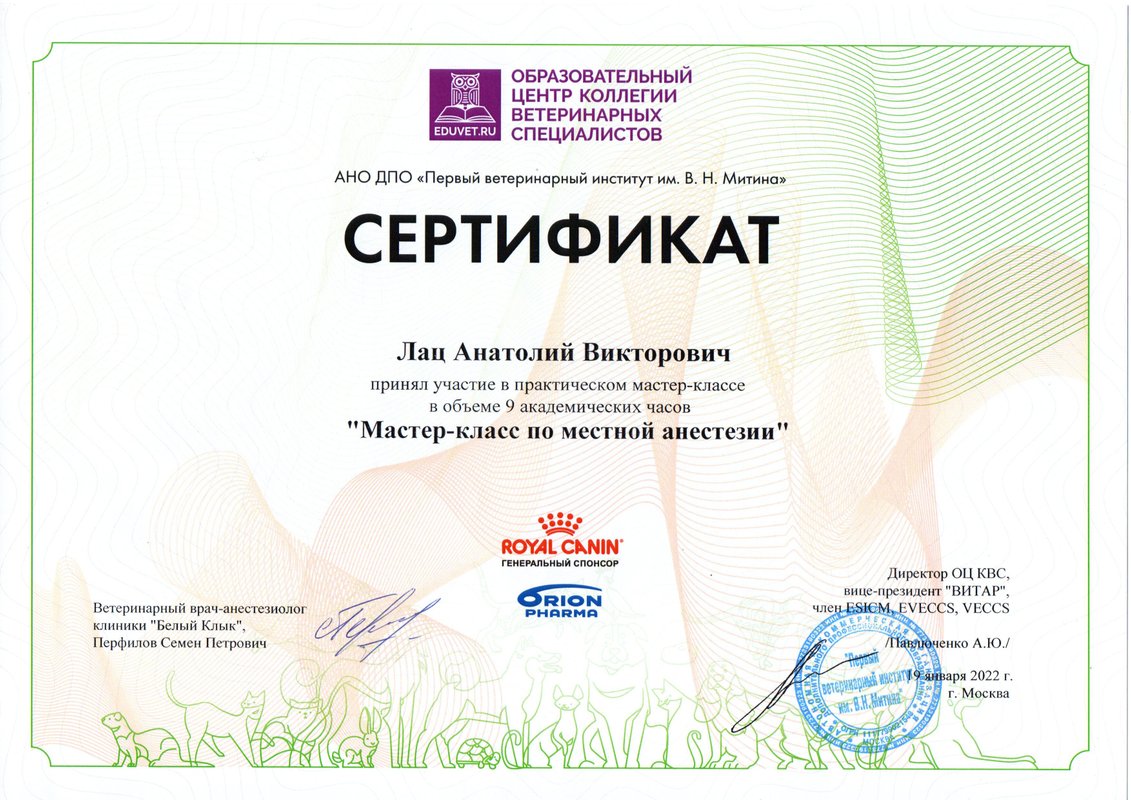 Документ или сертификат