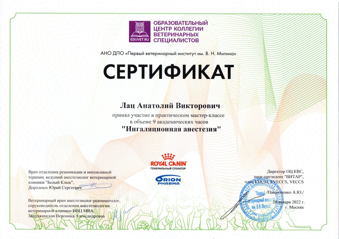 Документ или сертификат