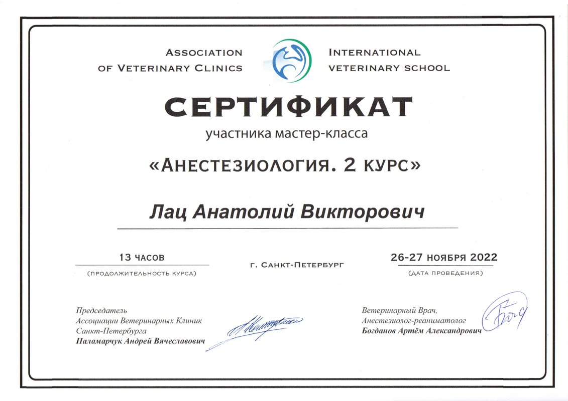 Документ или сертификат