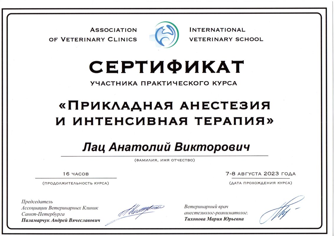 Документ или сертификат