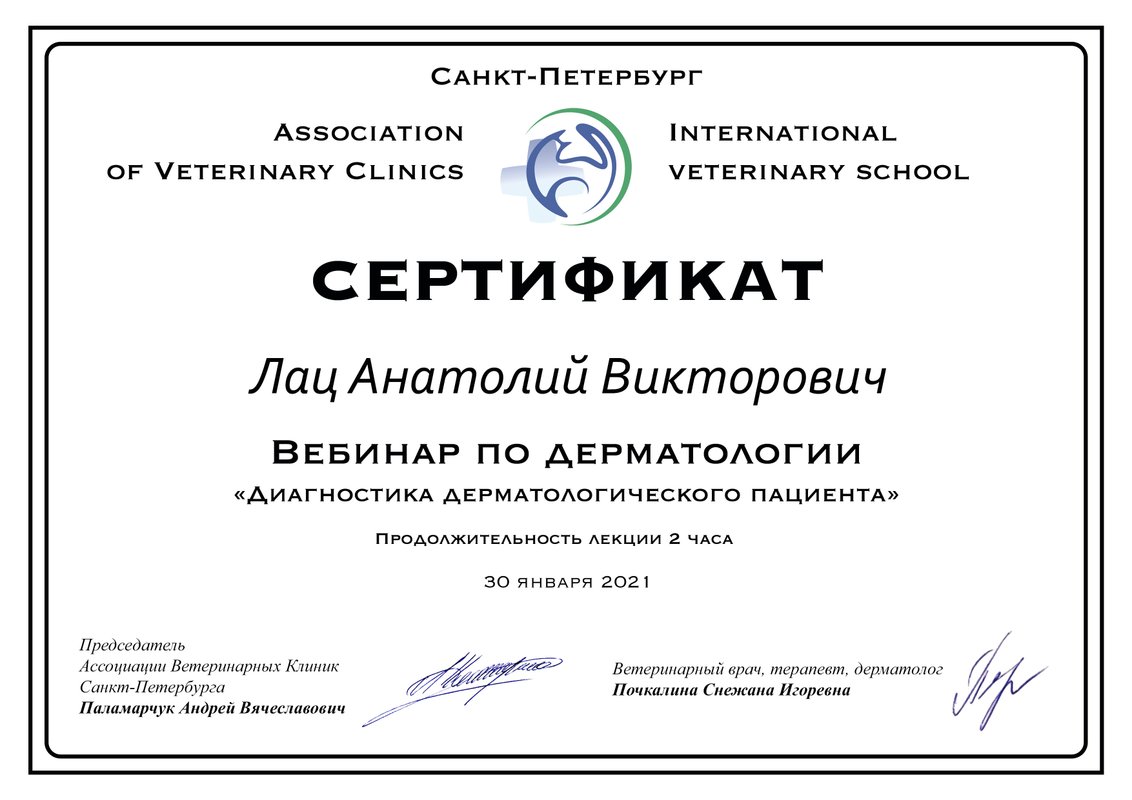 Документ или сертификат