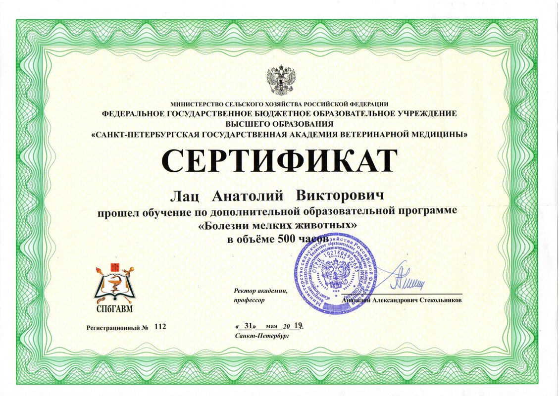Документ или сертификат