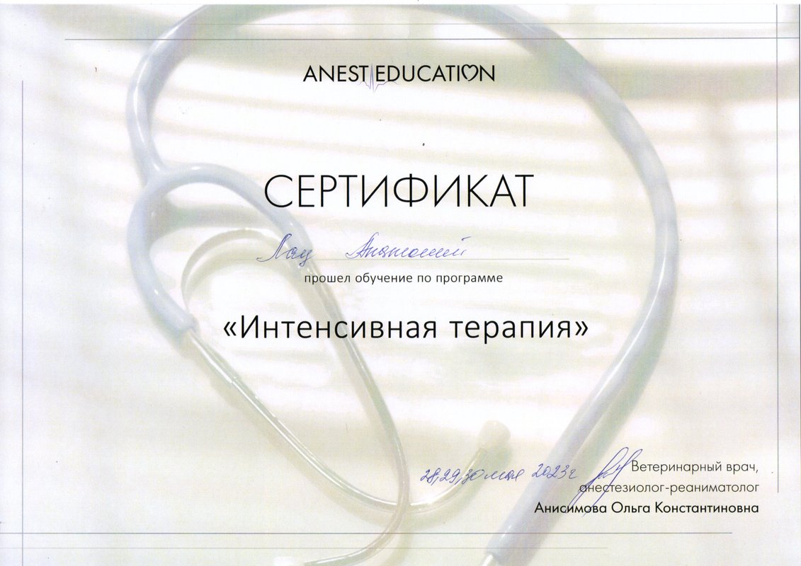 Документ или сертификат