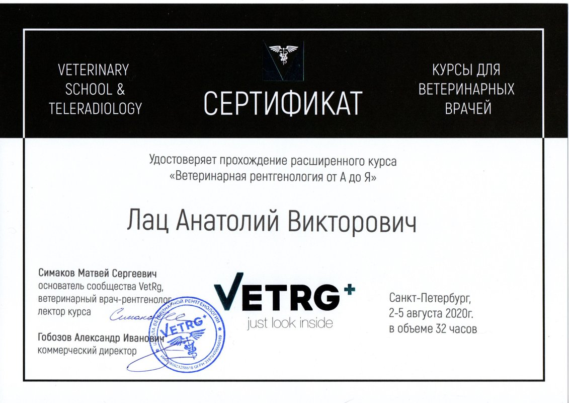 Документ или сертификат
