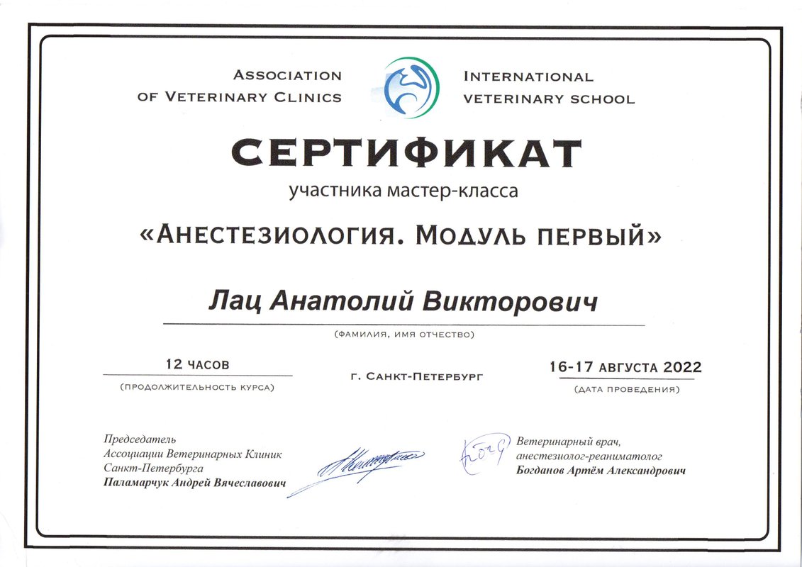 Документ или сертификат