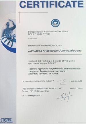 Документ или сертификат