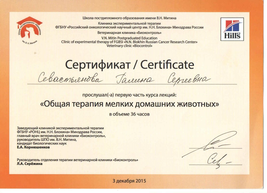 Документ или сертификат
