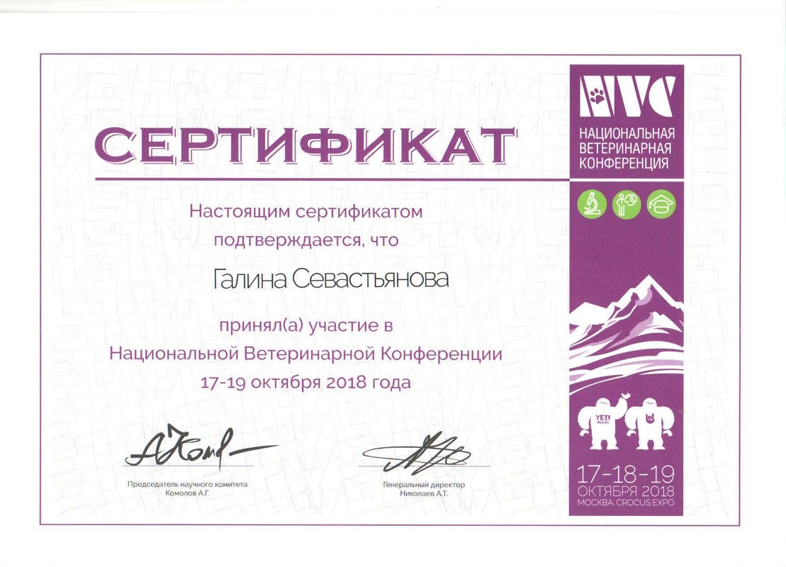 Документ или сертификат
