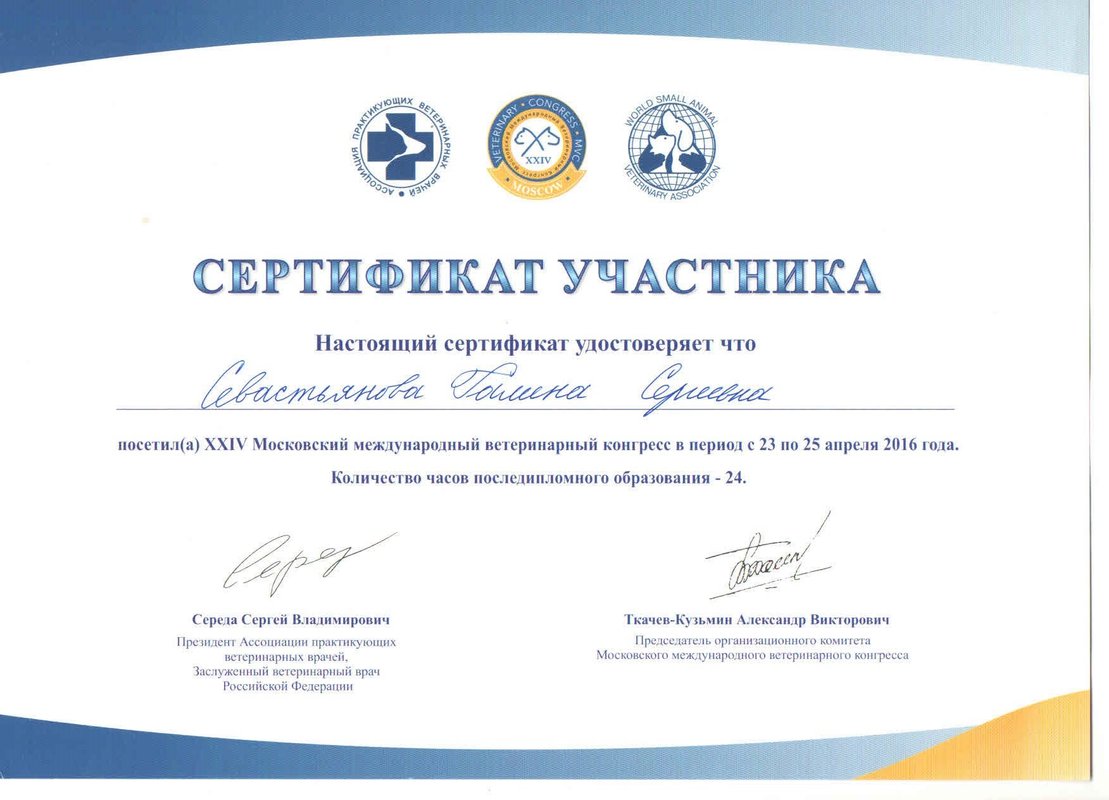 Документ или сертификат