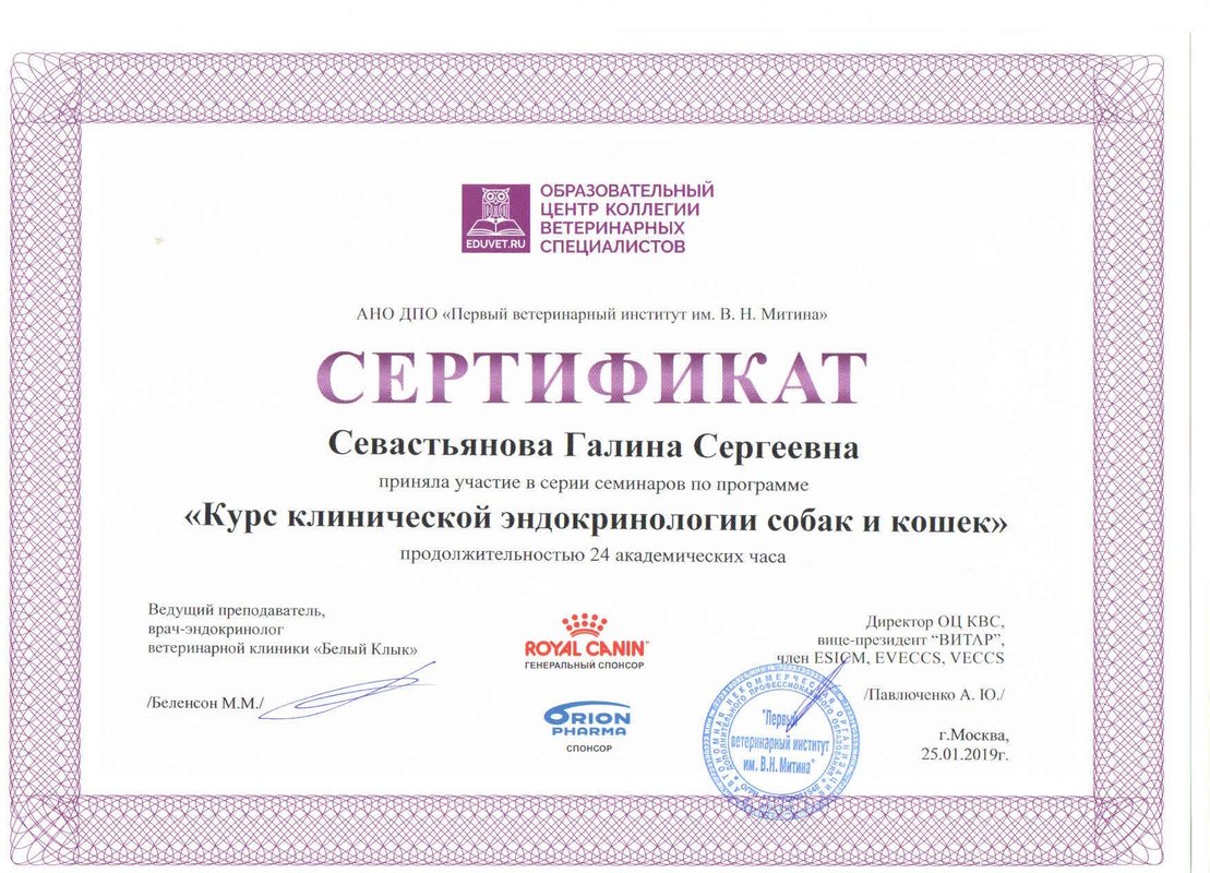 Документ или сертификат