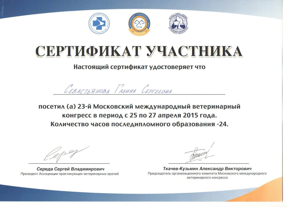 Документ или сертификат