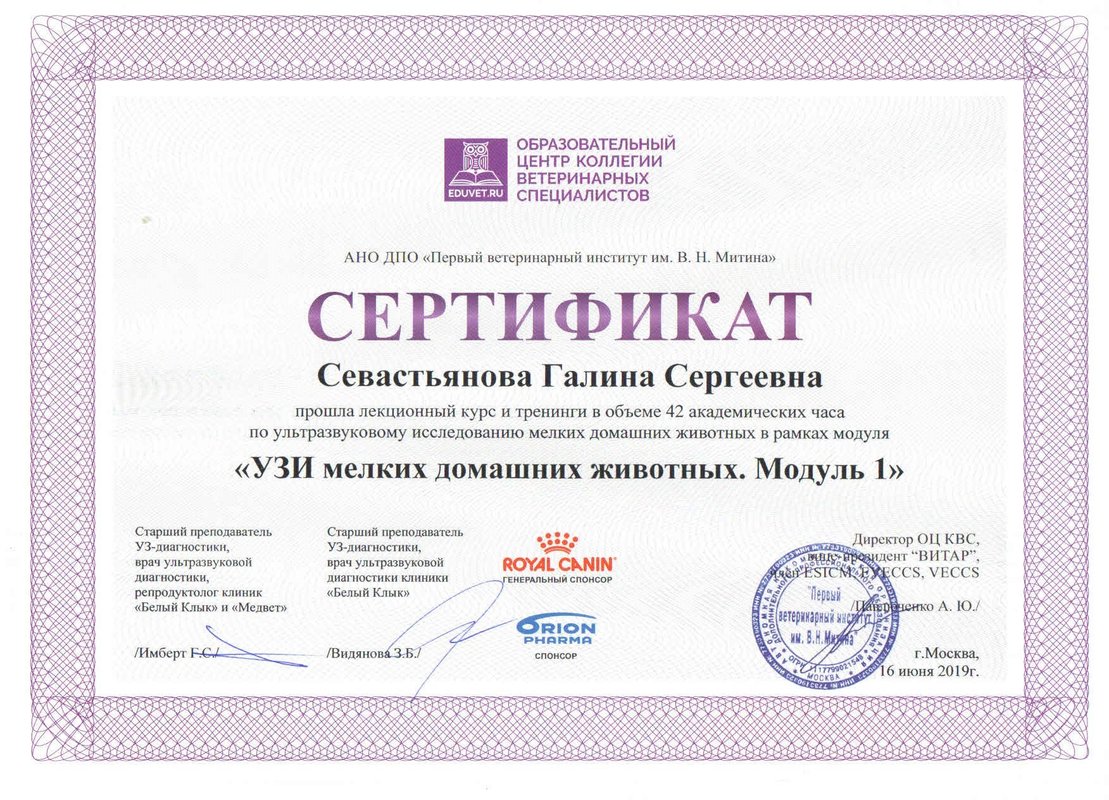 Документ или сертификат