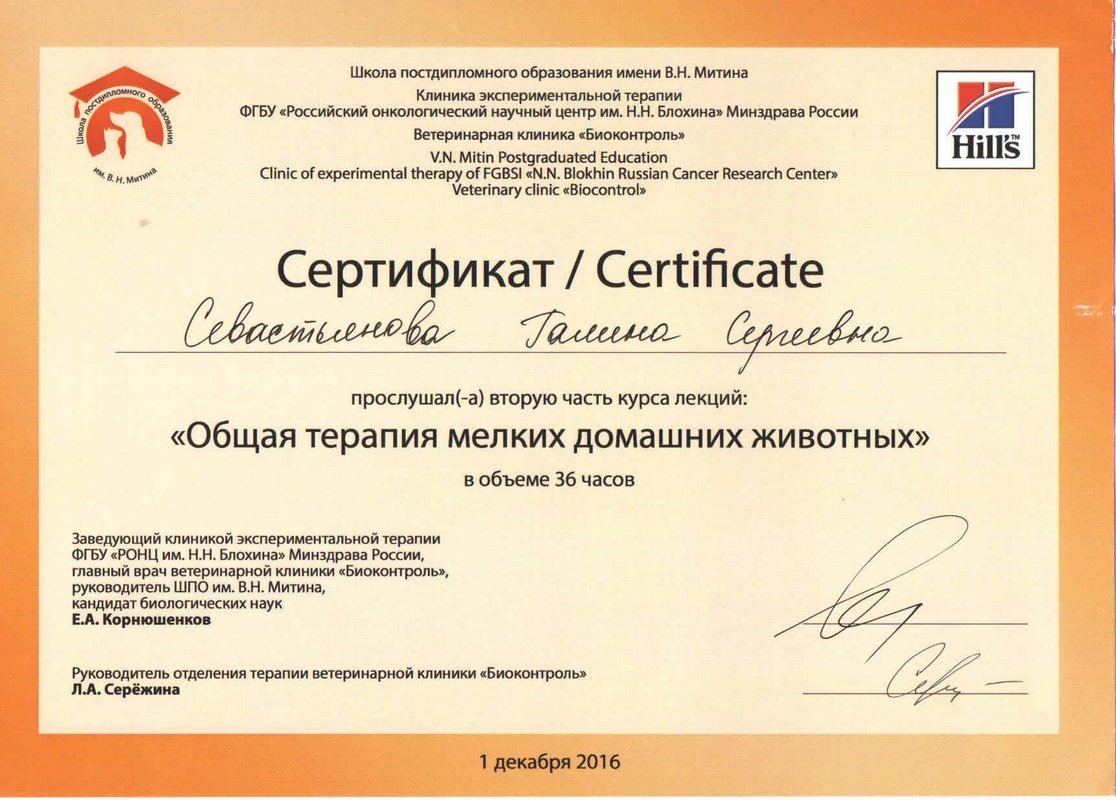 Документ или сертификат