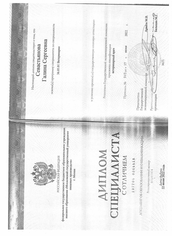 Документ или сертификат
