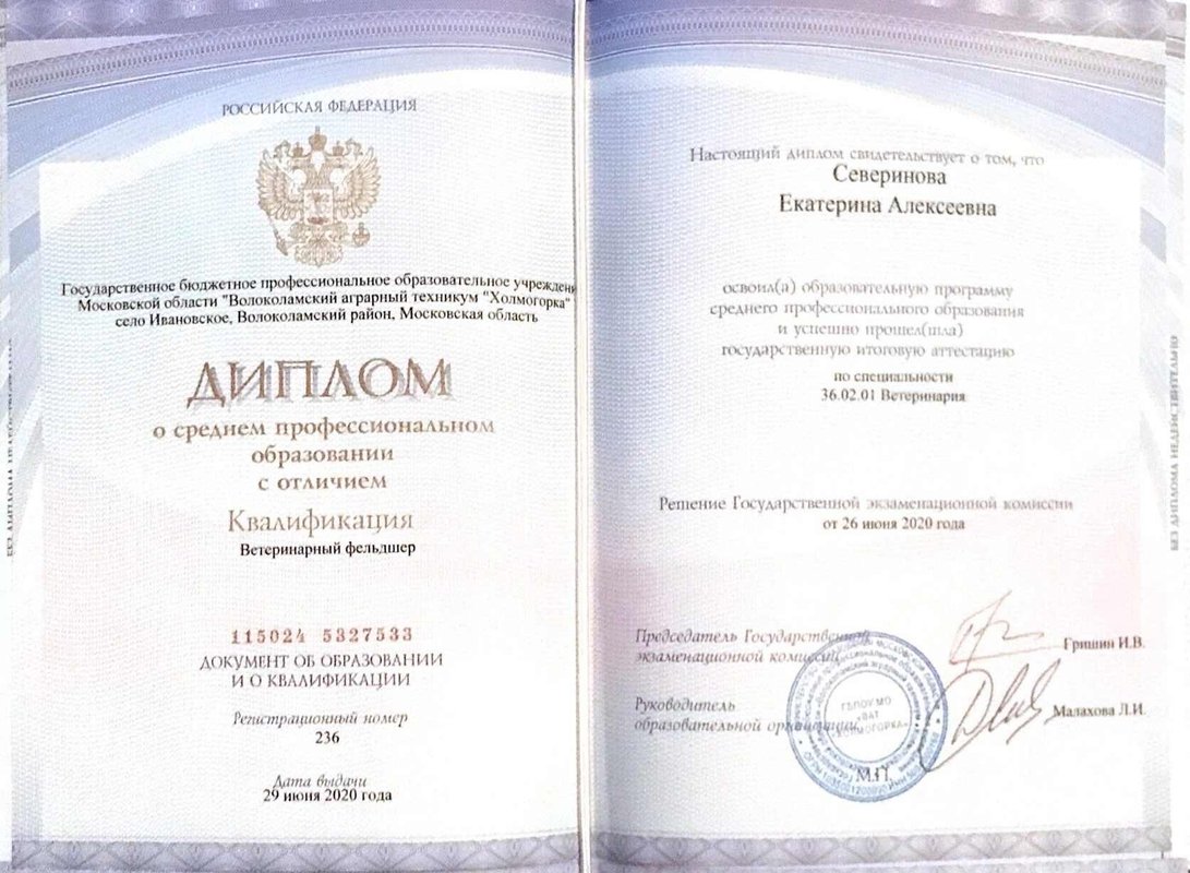 Документ или сертификат