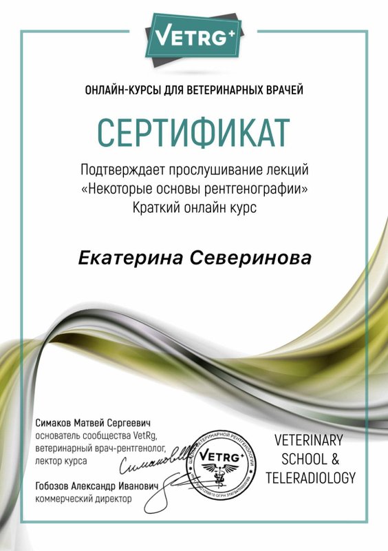 Документ или сертификат