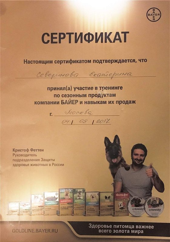 Документ или сертификат