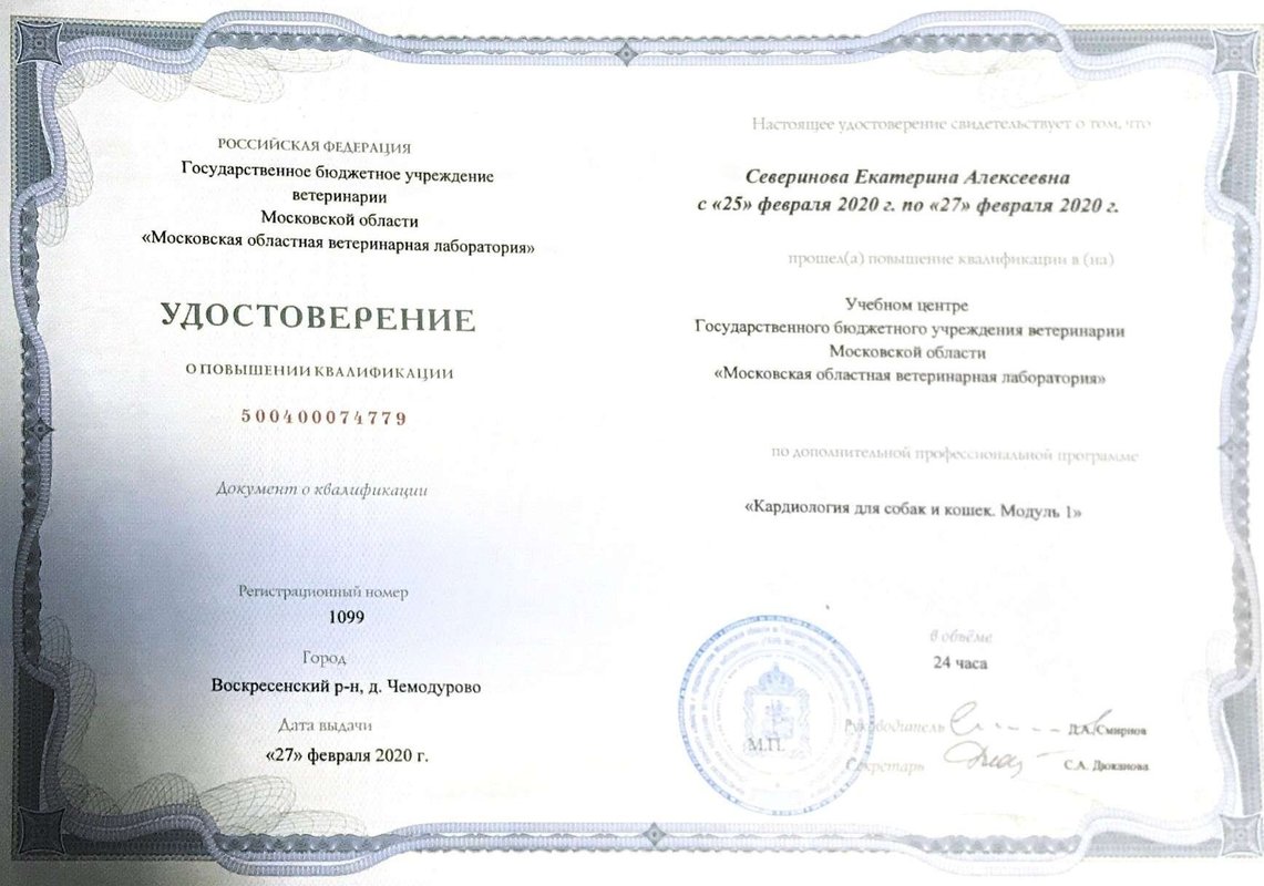 Документ или сертификат