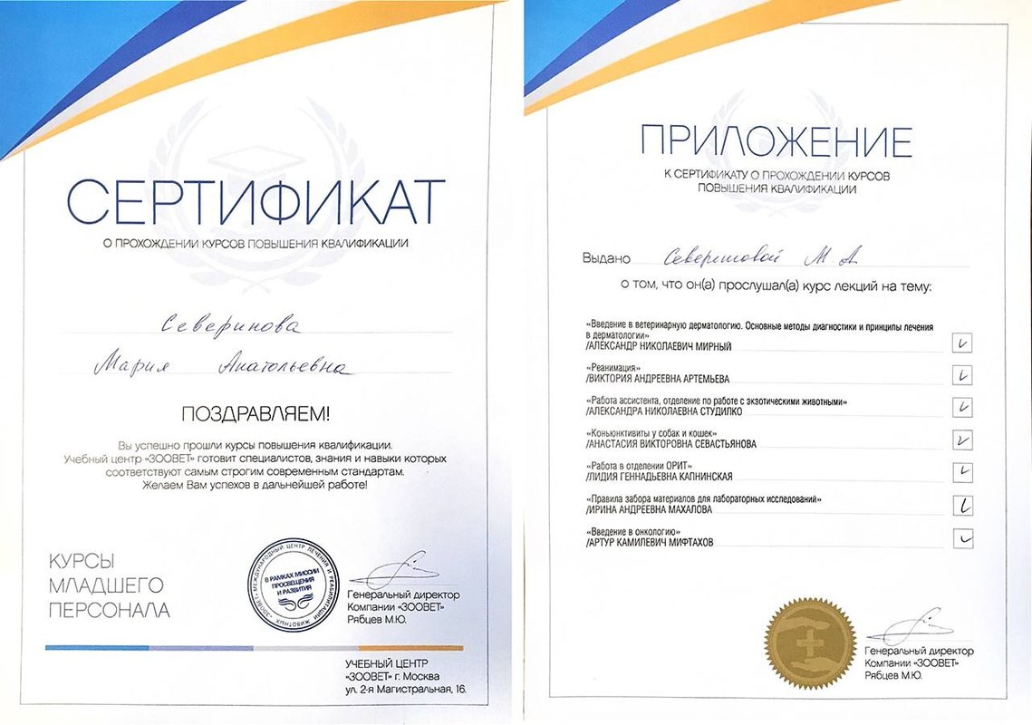 Документ или сертификат