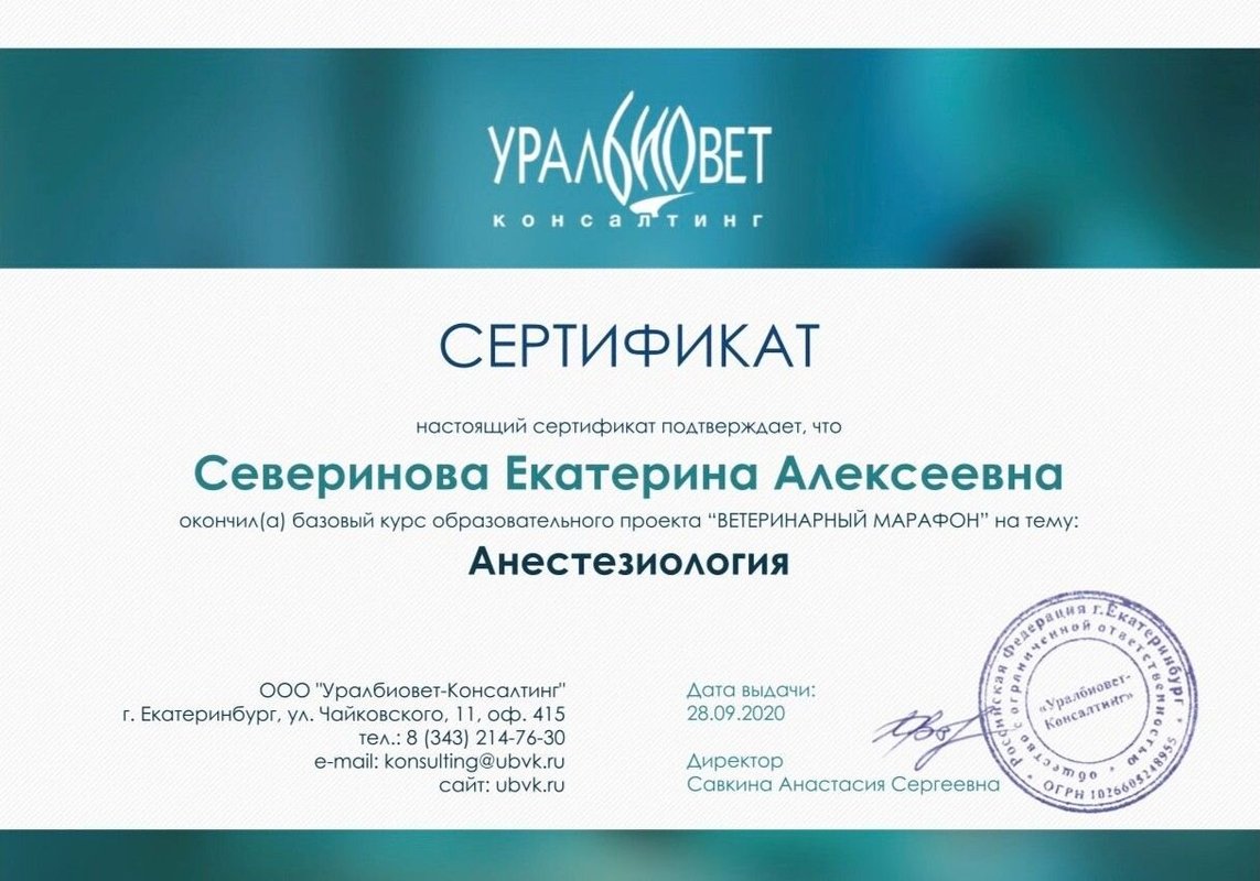 Документ или сертификат