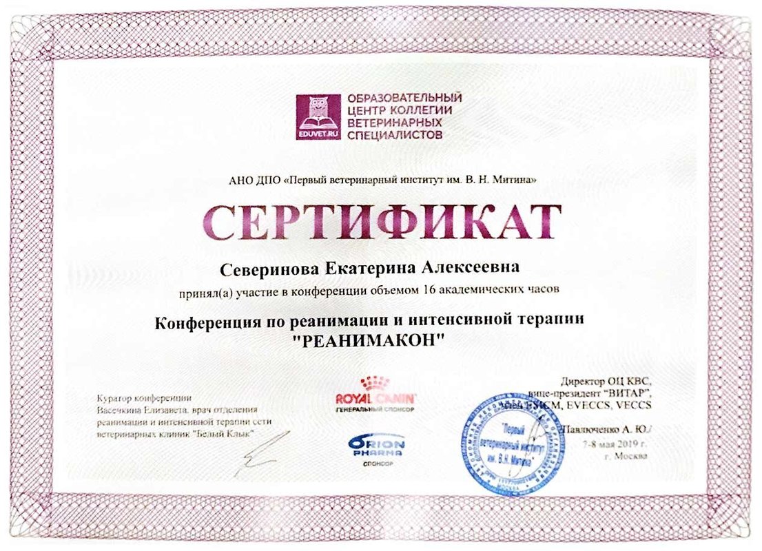 Документ или сертификат