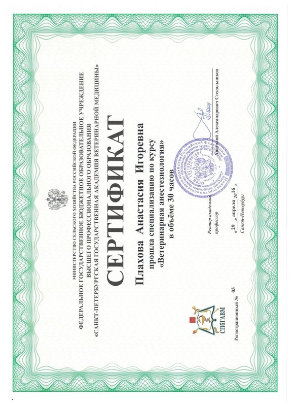 Документ или сертификат
