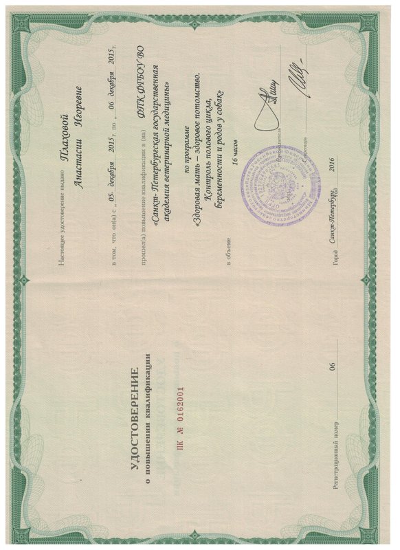 Документ или сертификат