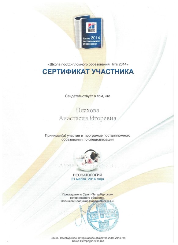 Документ или сертификат