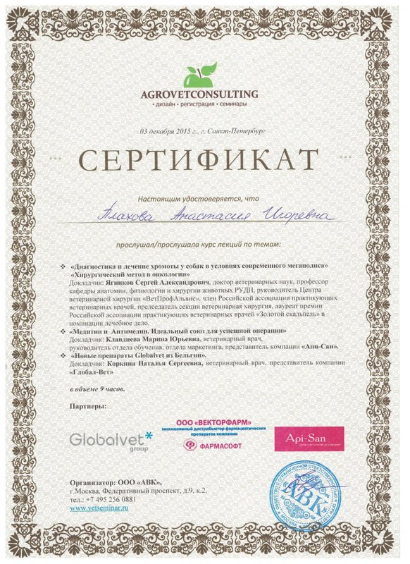 Документ или сертификат