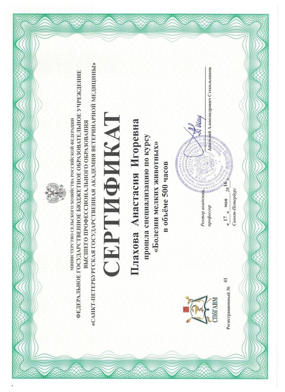 Документ или сертификат
