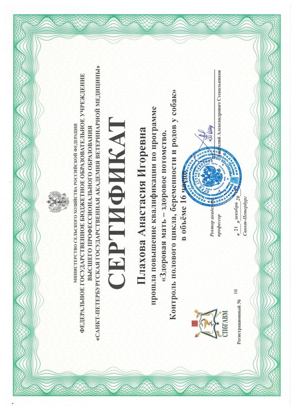Документ или сертификат
