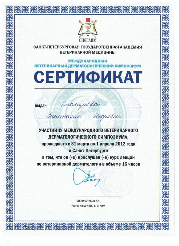 Документ или сертификат