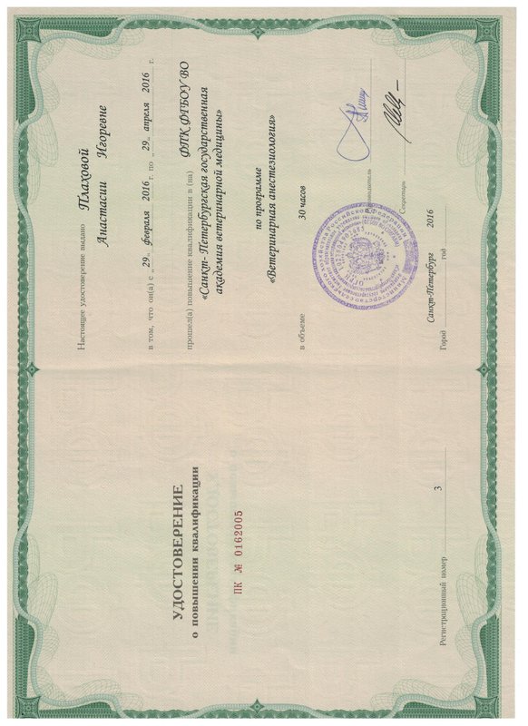 Документ или сертификат