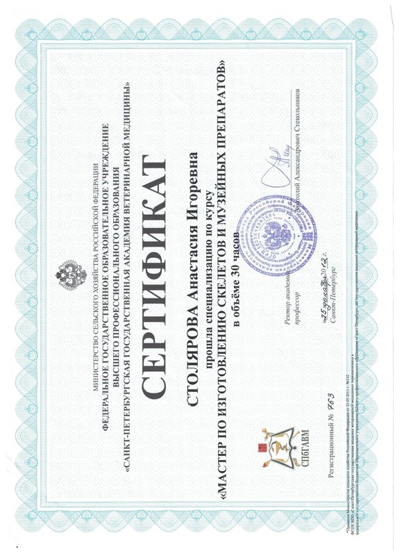 Документ или сертификат